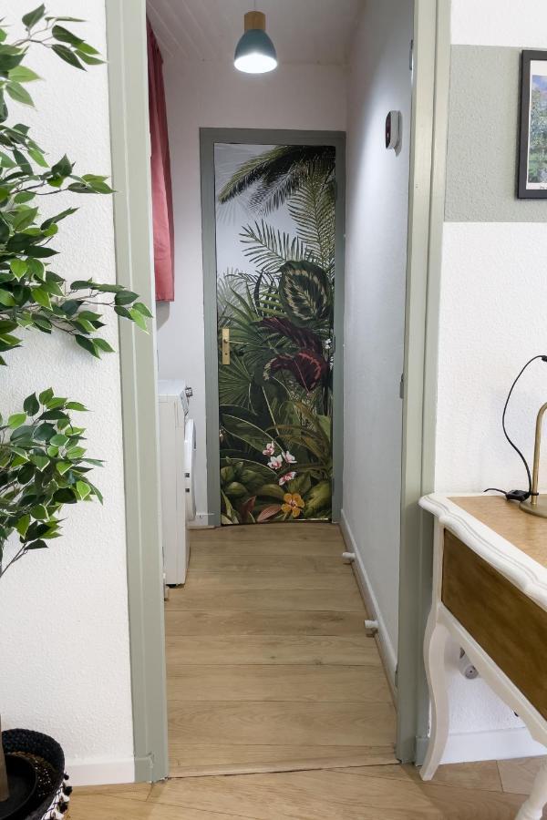 Appartement Lumineux 1 Chambre Hypercentre Place St Jean 瓦朗斯 外观 照片